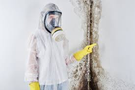 Why You Should Choose Our Mold Remediation Services in Tarrytown, NY